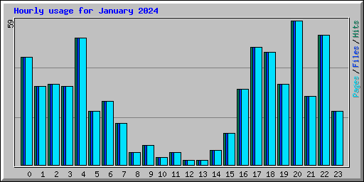 Hourly usage for January 2024
