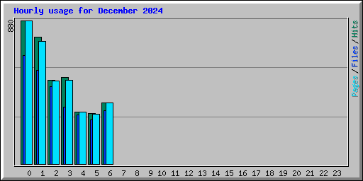 Hourly usage for December 2024